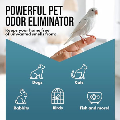 Harris Pet Odor Eliminating Gel - Unscented