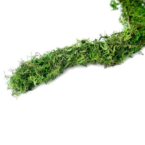 Galápagos (05350) Humid Environment Terrarium Kit – Essential Moss Accessories for Dart Frogs, Iguanas, Chameleons & Reptile Tanks