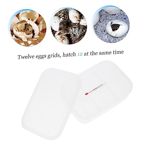 Compartment Chicken Quail Egg Incubator for Hatching Reptile Tank Egg Carrier Breeder Box