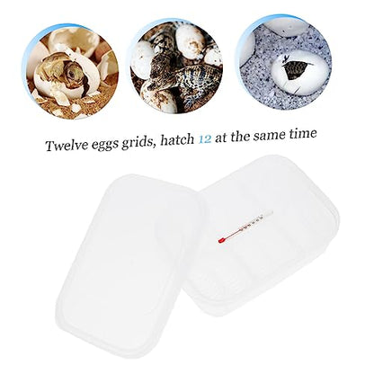 Compartment Chicken Quail Egg Incubator for Hatching Reptile Tank Egg Carrier Breeder Box