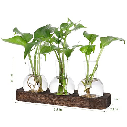 YIBOT Plant Propagation Station, Desktop Glass 3 Bulb Vase Brown Wood Tray | Planter Hoder Terrarium,Hydroponic Flower Cuttings Jars, No Assembly, Easy Water Refill, Home Office Decor, Lover Gift Idea - size: 3 Vase-T