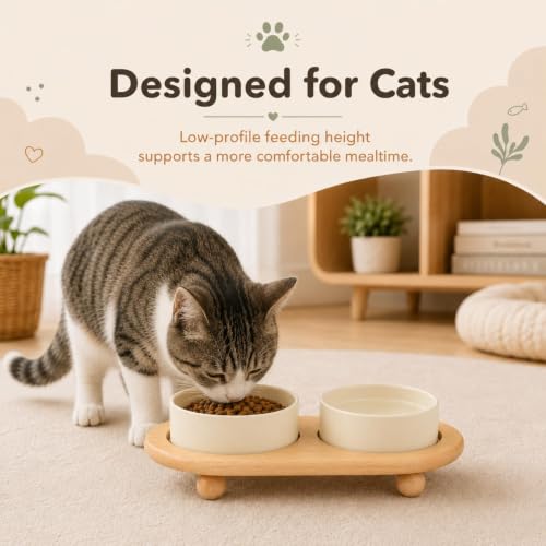 Havniva Raised Cat Bowl 5.1” Elevated Ceramic Cat Food and Water Bowl Set | Cat Bowls Elevated, Whisker Friendly Cat Bowl, Non-Slip Wood Stand, Food-Grade Ceramic, Wide Opening, Dishwasher Safe - color: Light Yellow, size: 2 Bowls+Tray - 5.1"