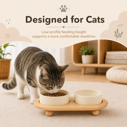 Havniva Raised Cat Bowl 5.1” Elevated Ceramic Cat Food and Water Bowl Set | Cat Bowls Elevated, Whisker Friendly Cat Bowl, Non-Slip Wood Stand, Food-Grade Ceramic, Wide Opening, Dishwasher Safe - color: Light Yellow, size: 2 Bowls+Tray - 5.1"