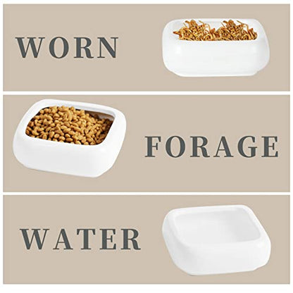 Ceramic Reptile Food Bowls, Reptile Water Food Dish (White, Medium-1Pack)