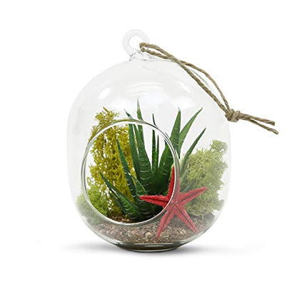 WGV Hanging Glass Plant Terrarium, Width 5", Height 6", Lantern DIY Air Succulent Planter Clear Tea Light Votive Candle Holder, Wedding Event Office Home Outdoor Decor, 1 Piece
