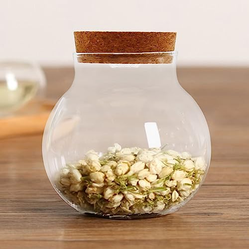 Round Glass with Remote Control LED Lights - for Terrariums, Moss Ball Vases & Home Decor, for DIY Party Mason Jars Crafts Christmas Decoration (S)