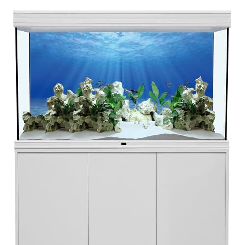 AWERT Undersea Theme Aquarium Background Sunshine Underwater World Fish Tank Background 36x24 inches - size: 36 x 24 inches