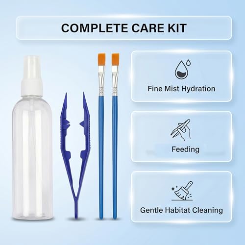 Jumping Spider Accessories Kit 5 Pcs,Spider Enclosure Starter Kit with Bottle,2 Soft Paint Brushes for Gentle Handling & 2 Plastic Feeding Tweezers for Care Tools