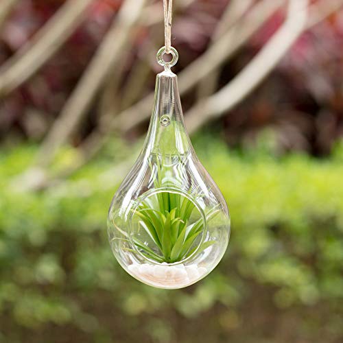 WGVI WGV Glass Hanging Plant Terrarium, Width 4.75", Height 9.5", Teardrop Pear DIY Air Succulent Planter Clear Tea Light Votive Candle Holder, Wedding Event Office Home Outdoor Decor, 1 Piece - size: Pear