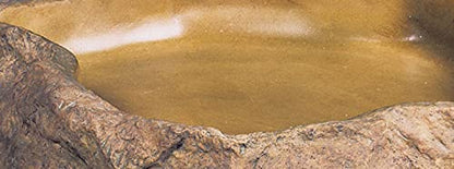 Exo Terra Reptile Feeding Dish – Natural Rock Look Food & Water Bowl for Lizards, Turtles, Snakes & Amphibians – Food-Grade Resin, Non-Porous, Easy Clean, Bacteria Resistant – Extra Large | Natural Rock Look Food & Water Bowl for Lizards, Turtles, Snakes