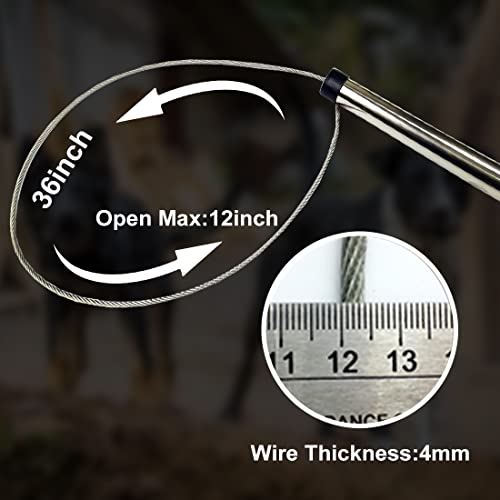 Yorikyas Animal Catch Pole Control Tool Kit -44 inch | for Dogs Feral Cat Raccoons Hog Pig Fox Coyote Bulldog Wolf Goat Calf Catching