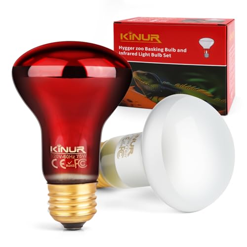 KINUR 2 Pack 75W Reptile Heat Lamp Bulbs, Reptile Day and Night Basking Spot Bulb Combo Amphibian Infrared Heat Lamp Bulb/UVA Basking Spot Daylight Heating Light Bulb - color: White 1pcs+red 1 Pack