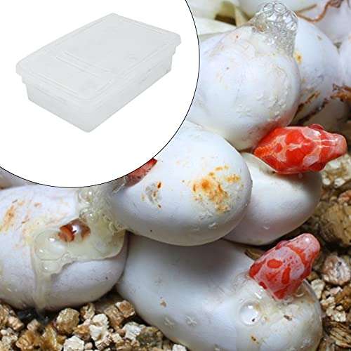 POPETPOP Hatching Box for Reptiles Lightweight Incubation Container for Snakes Lizards and Geckos Transparent Design for Visibility Safe Plastic Material for Growth