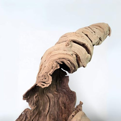 Koyal Wholesale 24" Hollow Grapewood Branch Decor 1Pcs Grapewood Centerpiece Vase Air Plants Sand Blasted Grapevine Wood Untreated Terrarium Wood Driftwood Decor - size: 24 Inches