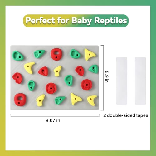 MITCHENIFY Reptile Climbing Wall, Bearded Dragon Accessories Toys | PLA Plastic, Simulating Natural Instincts, Habitat Enrichment Decor, Gift for Reptile Owners