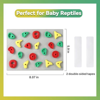 MITCHENIFY Reptile Climbing Wall, Bearded Dragon Accessories Toys | PLA Plastic, Simulating Natural Instincts, Habitat Enrichment Decor, Gift for Reptile Owners