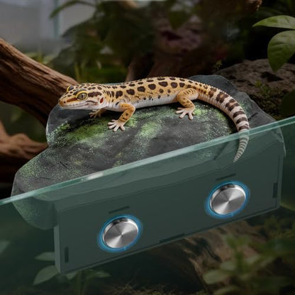 Magnetic Reptile Ledge, Reptile Climbing Decor with Strong Magnet, Large Rock Rest for Geckos, Tree Frogs, Green.