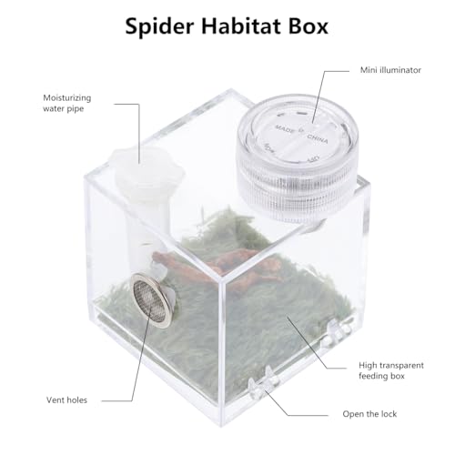 ibasenice Jumping Spider Cage with Lamp Transparent Small Spider Habitat Box 2.16X1.96X1.96 Inch Compact Jumping Enclosure for Feeding and Observation - color: Transparent