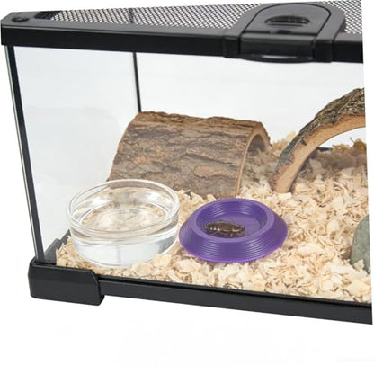 Beavorty 12pcs Plastic Mealworm Feeding Dish Set for Small Animals, Escape Proof and Bowls for Home Use and Transporting Reptiles, Lizards, and Geckos