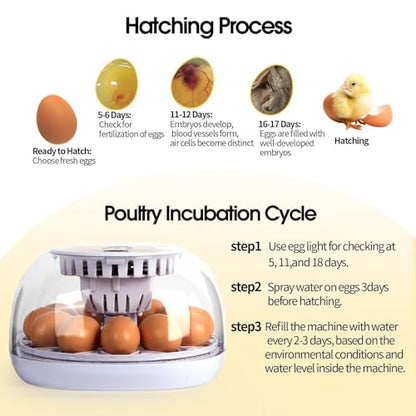 Nest I - 12 Egg Incubator for Beginners, Auto Egg Turning, Consistent Humidity with Auto-Refill Water Bottle & Stable Temp Control for Hatching Chicken, Goose, Duck, Quail, Pigeon, and Turkey - size: 12 Egg [White]