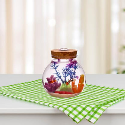 NUOBESTY Round Glass Jars with Cork Lid, Small Glass Cork Bottles with Led Light, Plant Terrarium Display Bottles for Diy, Kitchen Storage Candy Jar for Tea Biscuits Cereals Flour Beans