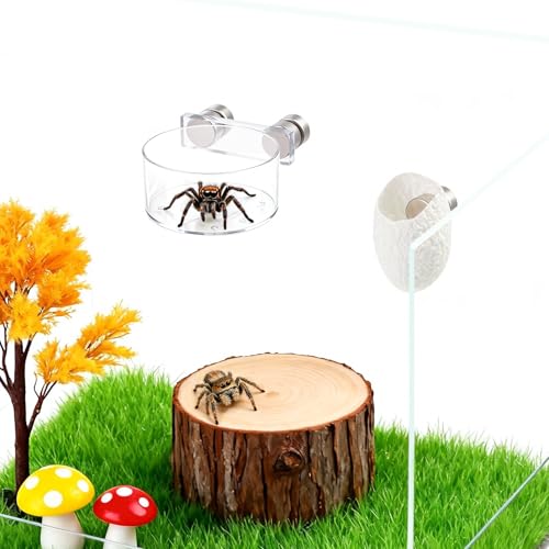 Jumping Spider Water Dish Feeding Set Magnetic Bowl Tongs | Magnetic Water Bowl Feeding Dish Tweezer Silk Cocoon Enclosure Accessories Kit for Jumping Spider Reptile Small Pets