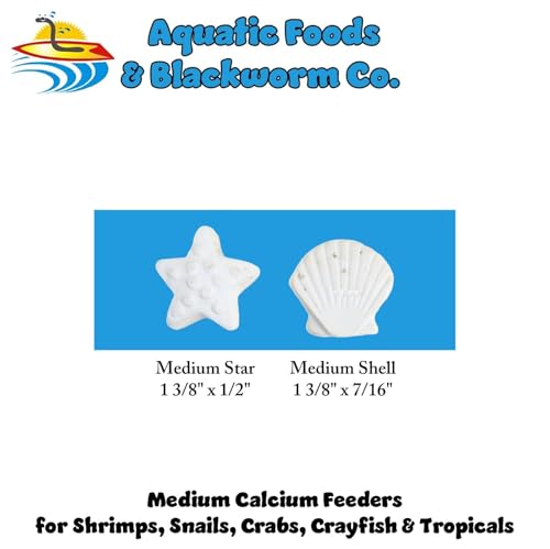 Calcium Feeder Medium Stars & Shells 20ct Bag | For Shrimp, For Snails, For Crabs, Crayfish, Pleco, Catfish, For All Tropical Fish - size: 20 Count (Pack of 1)