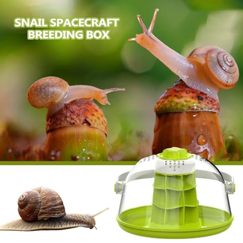 Spider Breeding Box Breathable Portable Mini Pet House Ventilation Holes | Reptile Terrarium for Small Animals Silkworms Snails Turtles