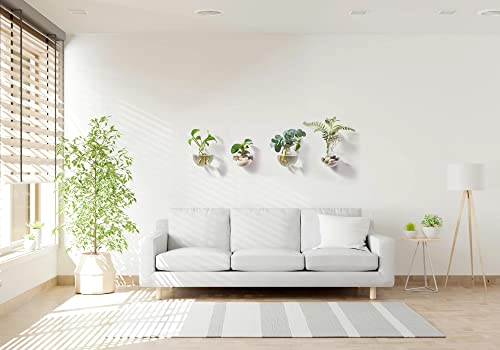 Wall Hanging Planters Terrarium Glass Air Plant Holder Pots for Plants