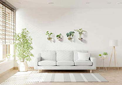 Wall Hanging Planters Terrarium Glass Air Plant Holder Pots for Plants