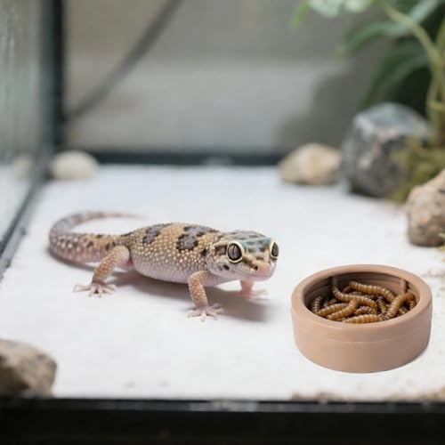 Reptile Water Bowl | 3-Piece Mealworm Feeder Cups | Reptile Food Dish Bowl - for Gecko Bearded Dragon Lizards Hermit Crab Snail Pet Store Terrarium Tank