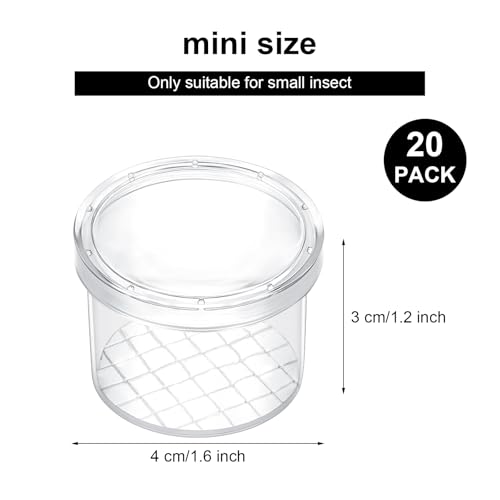 Sumind 20 Pcs Critter Keeper Bug Magnifier Insect Container with Lid - Bug Catcher Cage Science Nature Exploration Tools for Outdoor Adventure and School Field Trips