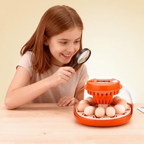 VEVOR 12 Egg Incubator, Automatic Egg Turner with LED Candler, Temperature & Humidity Control, 360° View Clear Window, Poultry Eggs Incubator for Home Farm, Hatching Chicks Ducks Goose Quail - size: 12 Eggs