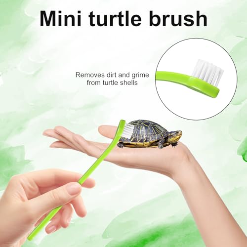 2pcs Turtle Brush, Turtle Shell Brush with Suction Cup Turtle Shell Scratcher Tortoise Shell Cleaning Brushes Turtle Exfoliate Brush Turtle Scrub Brush Aquatic Tortoise Tank Supplies | Turtle Shell Scratcher Tortoise Cleaning Brushes Turtle Exfoliate Brus