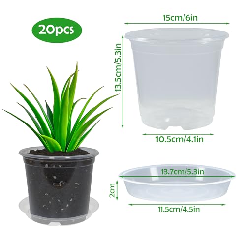 20 Pack 6 Inch Clear Nursery Pots with Drainage and 20 Pack Plant Saucers, 0.5 Gallon Plant Pots for Plants Potting Containers Half Gallon Plants Seeding Starter Pot (Clear, 6 Inch) - size: 6 Inch