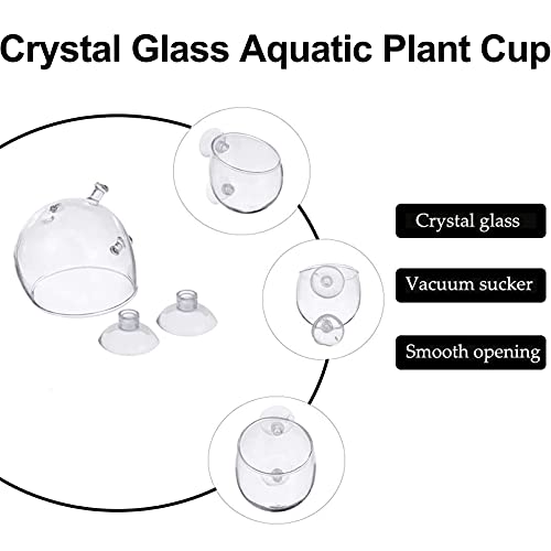 Tfwadmx Aquarium Plant Holder Pot Aquarium Decor Crystal Glass Aquatic Plant Cup with Suction Cups for Fish Tank Aquascape Decoration (4 Pack)