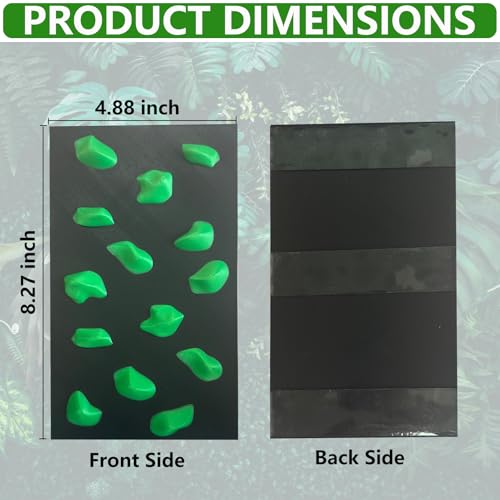 Rock Climbing Wall for Bearded Dragons Climbing Rock Wall Grips for Bearded Dragons Tank Accessories Reptiles Toy (Green) - color: Green