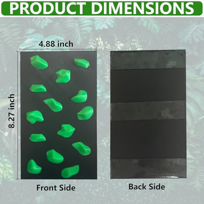 Rock Climbing Wall for Bearded Dragons Climbing Rock Wall Grips for Bearded Dragons Tank Accessories Reptiles Toy (Green) - color: Green