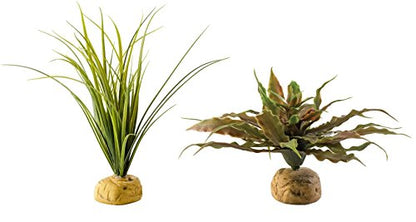 Exo Terra Star Cactus & Turtle Grass Terrarium Plant Bundle