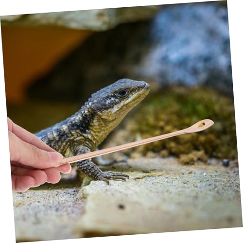 2pcs Reptile Food Spoon Long Handle Feeding Tool for Lizards and Small Pets Stainless Steel Design for Easy Feeding and Convenience - color: Golden