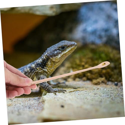 2pcs Reptile Food Spoon Long Handle Feeding Tool for Lizards and Small Pets Stainless Steel Design for Easy Feeding and Convenience - color: Golden