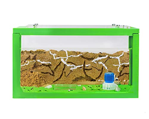 Anthouse.ES - 3D Aquarium-Style Natural Ant Farm - Sand Ant Farm - Complete Kit with Sand and Accessories - Starter Model 20x10x10 cm - Green Color - color: Green