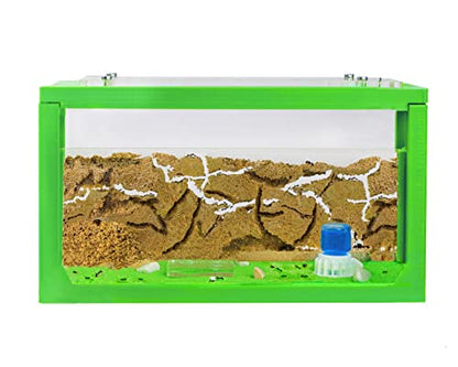 Anthouse.ES - 3D Aquarium-Style Natural Ant Farm - Sand Ant Farm - Complete Kit with Sand and Accessories - Starter Model 20x10x10 cm - Green Color - color: Green