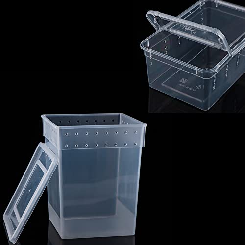 10 Pack Reptile Feeding Box Plastic Transparent Breeding Box for Bearded Dragon Lizard Spider Snake Tree Frog Reptlies (2 Pcs Large Size and 8 Pcs Small Size)