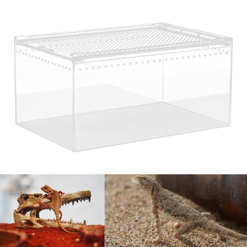 Reptile Breeding Box Terrarium breeding Box Acrylic Construction to Prevent Escapes Removable Basin for Quick Clean-up Suitable for, 30cmx20cmx15cm - size: 30cmx20cmx15cm