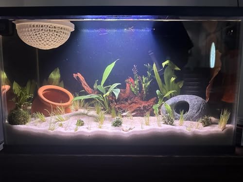 emours Aquarium Driftwood Fish Tank Decoration Varies Shape and Size (Medium) - size: Medium