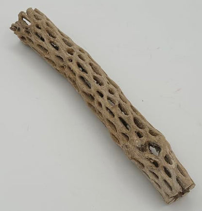 Awesome Aquatic XL Cholla Wood Tubes, Teddy Cane, 12" x up to 2" | XL Hideouts • Hollow tubes • Natural biofilm surface • Secure hideouts • Shrimp plecos hermit crabs reptiles • Natural décor - size: XL 12 in x up to 2 in Diameter