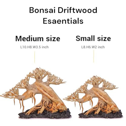 Azil Bonsai Driftwood Aquarium Tree for Aquarium Decor Fish Tank Decorations (10.1'' Length)