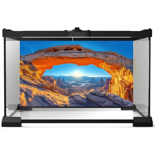 Rock Stone Terrarium Background Desert Gobi Clear Blue Sky Reptile Habitat Background Oasis Mountain Cactus with Sun Rays Aquarium Background Natural Desert Style Landscape Fish Tank Backdrop 24x12in - color: Rock Blue, size: 24(W)x12(H)inches/ 60(W)*30cm