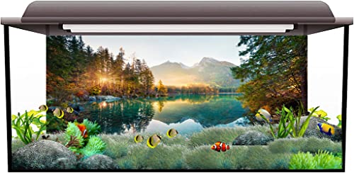 AWERT 48x24 inches Nature Landscape Aquarium Background River Mountain Autumn Scenery Fish Tank Background Vinyl Background | AWERT Autumn Scenery Vinyl Background - size: 48x24in/120x60cm